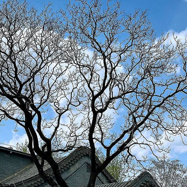 启慧职业培训